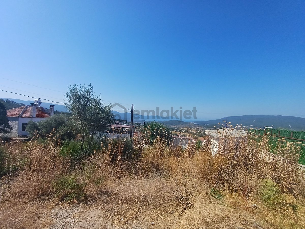 Kazıkli Mahallesınde Muhte - 6