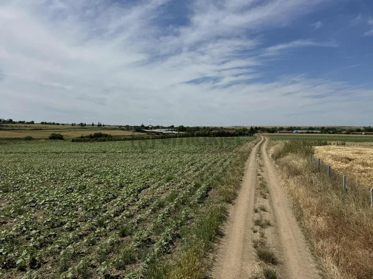 Saray Yuvalı Da 310 M2 Arsamız Satışta - 15