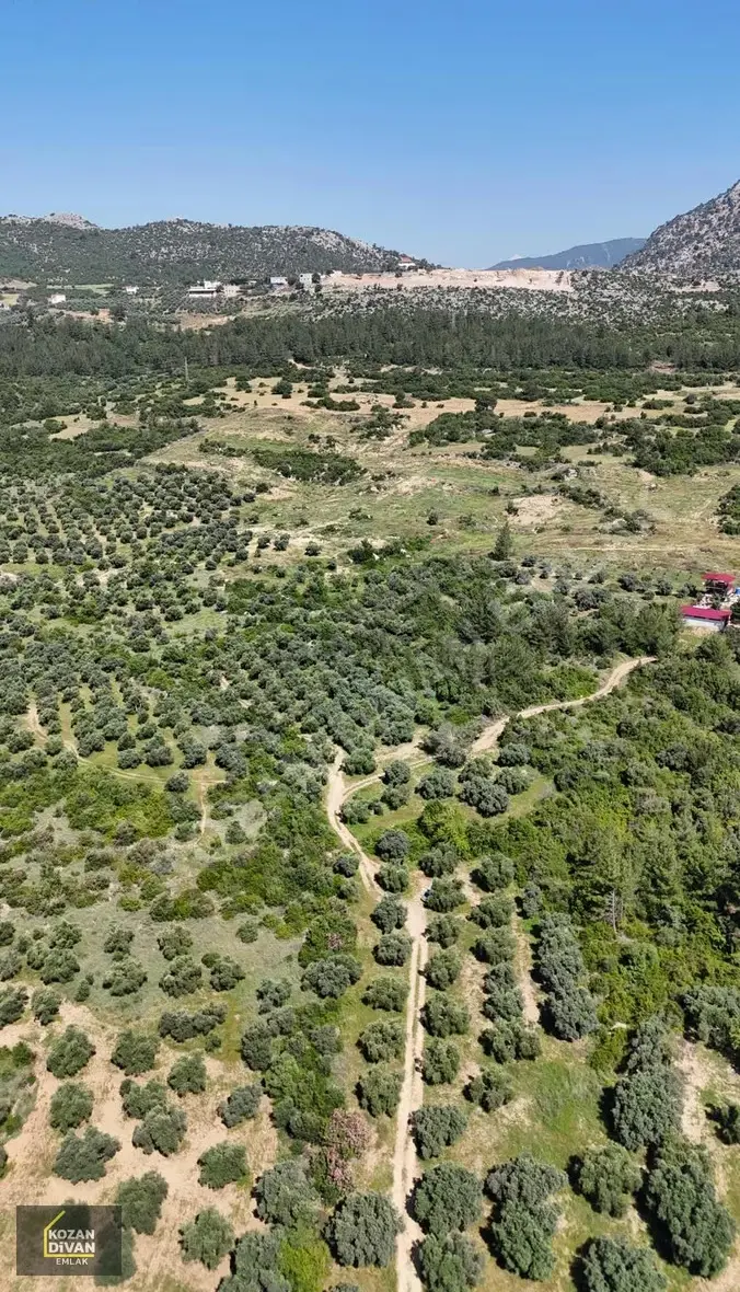 Kozan Divan Emlak'tan Ağlıboğaz'da Yatırımlıl 416 M2 Arsalar - 6