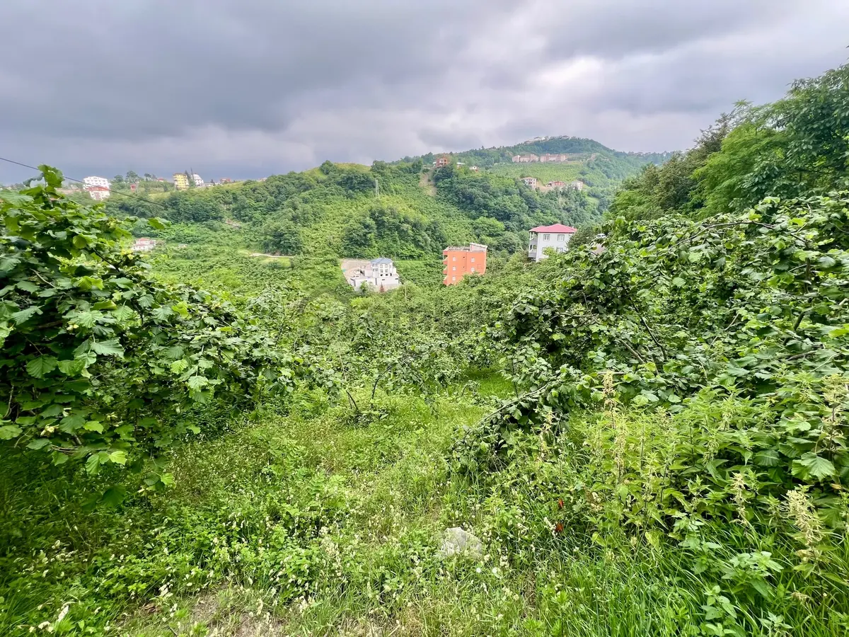 Çamoba'da Satılık 1171 M² Arsa - 7