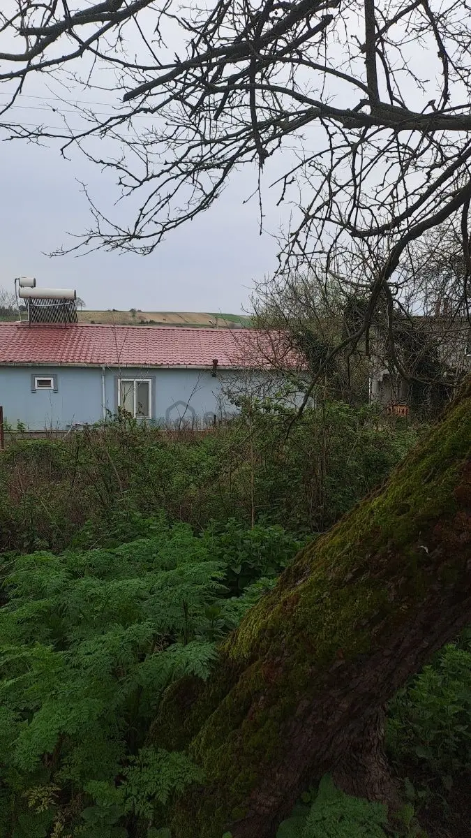 Sakarya Kaynarca İmarlı Arsa - 7