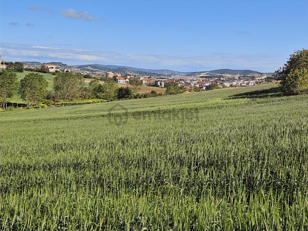 Kaynarca'da Tarla - 17