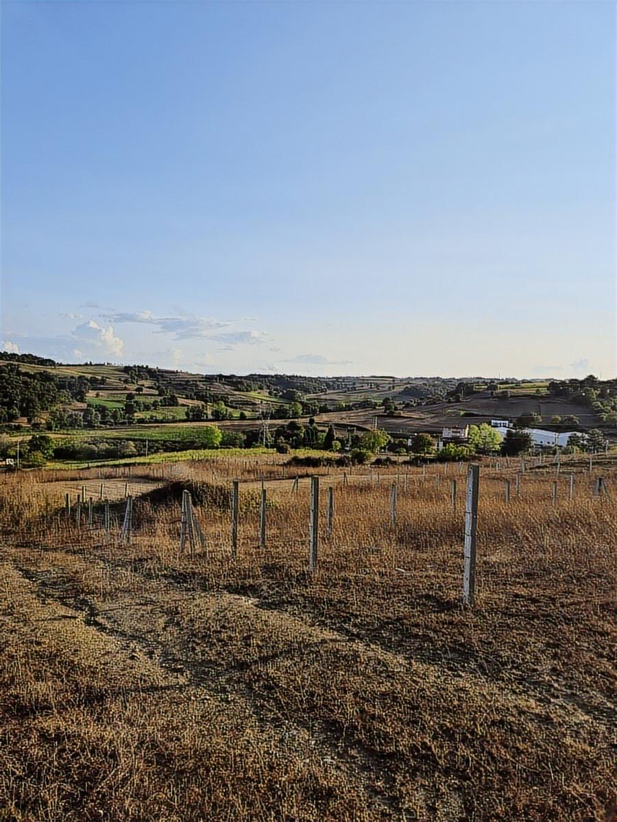 Kaynarca,kertil,arsa,bungalov Ev 500 M2 - 15