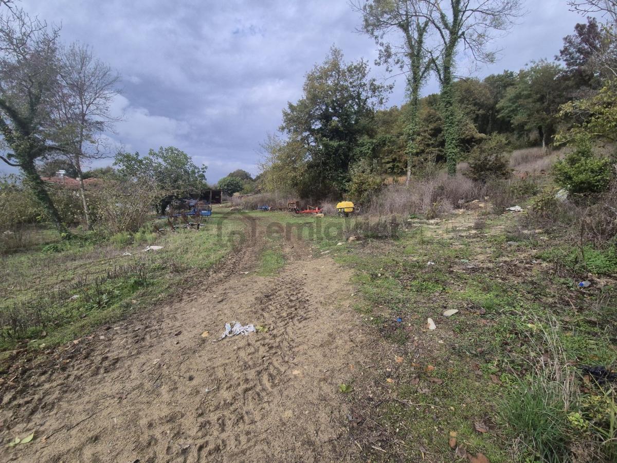 Şeyhtımar Mah,1140 M2,yollu Arsa - 17