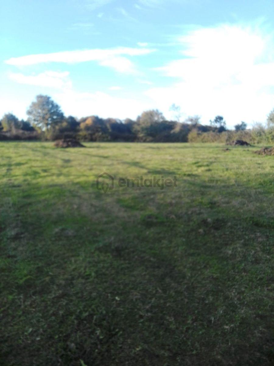 Kaynarca İşaret,4357m2 Yollu Tarla - 15
