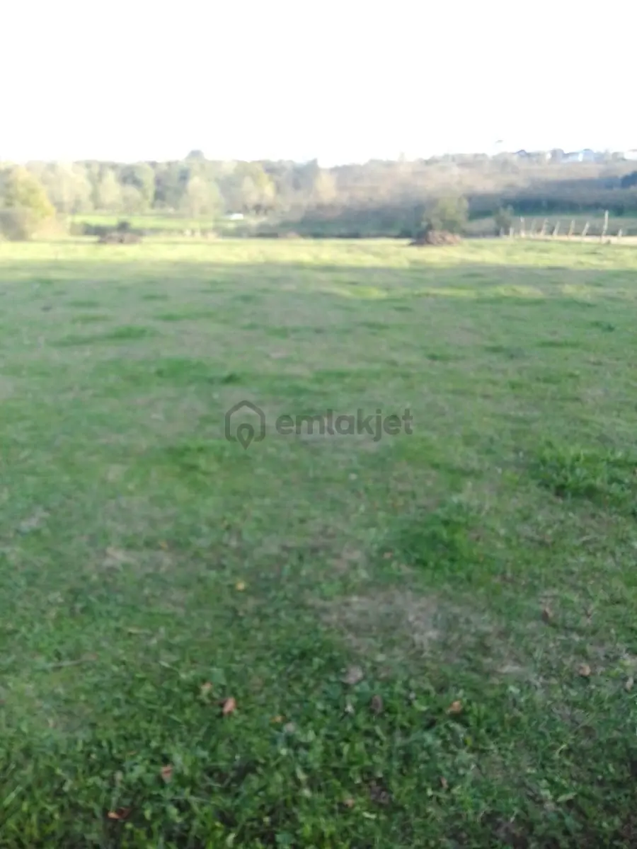 Kaynarca İşaret,4357m2 Yollu Tarla - 5