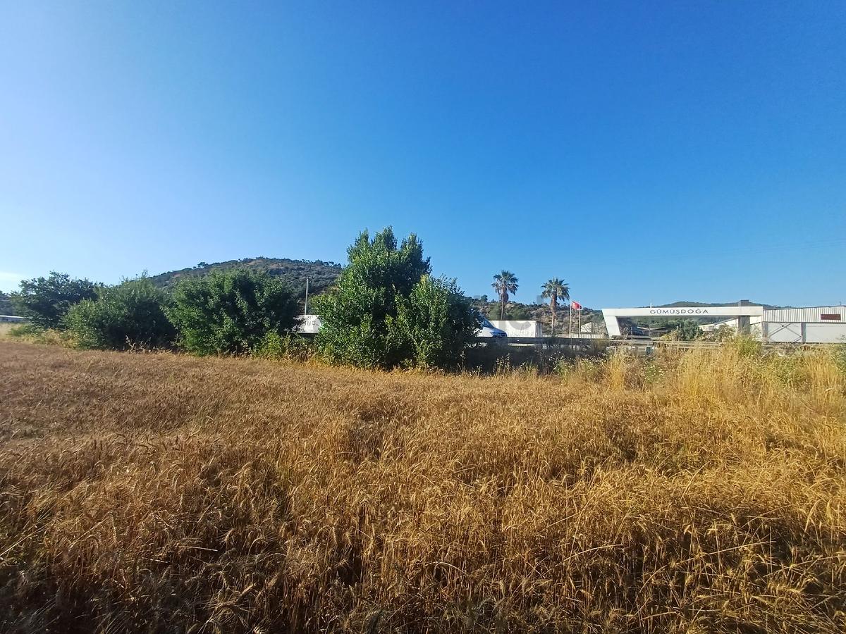 Milas/bodrum Yolu Üzerinde Satilik Tarla - 14