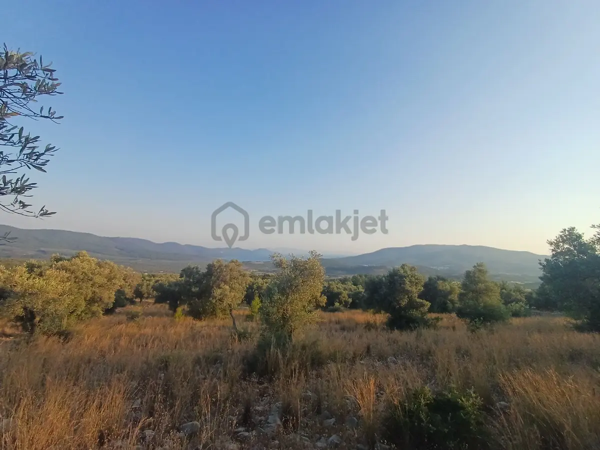 Kazıkli Mahallesi'nde Deniz Manzarali - 16