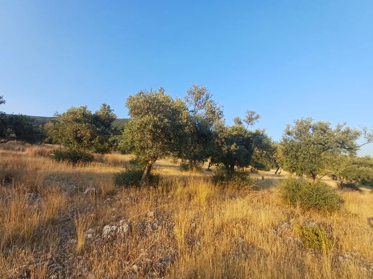 Kazıkli Mahallesi'nde Deniz Manzarali - 11
