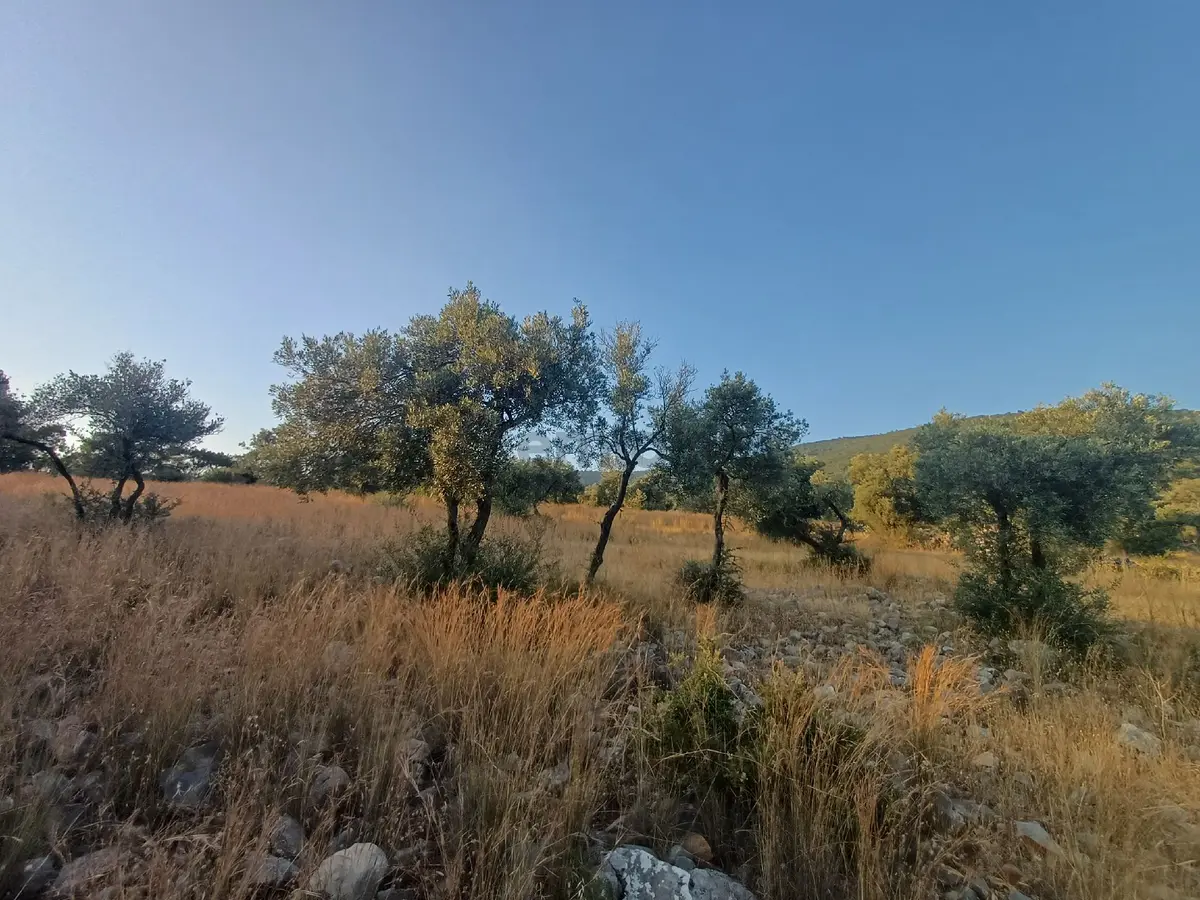 Kazıkli Mahallesi'nde Deniz Manzarali - 20