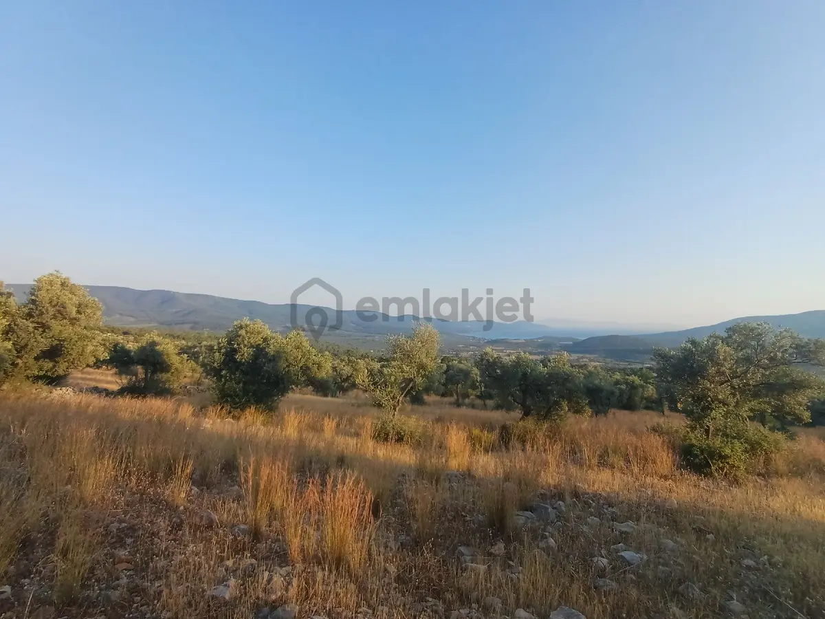 Kazıkli Mahallesi'nde Deniz Manzarali - 14