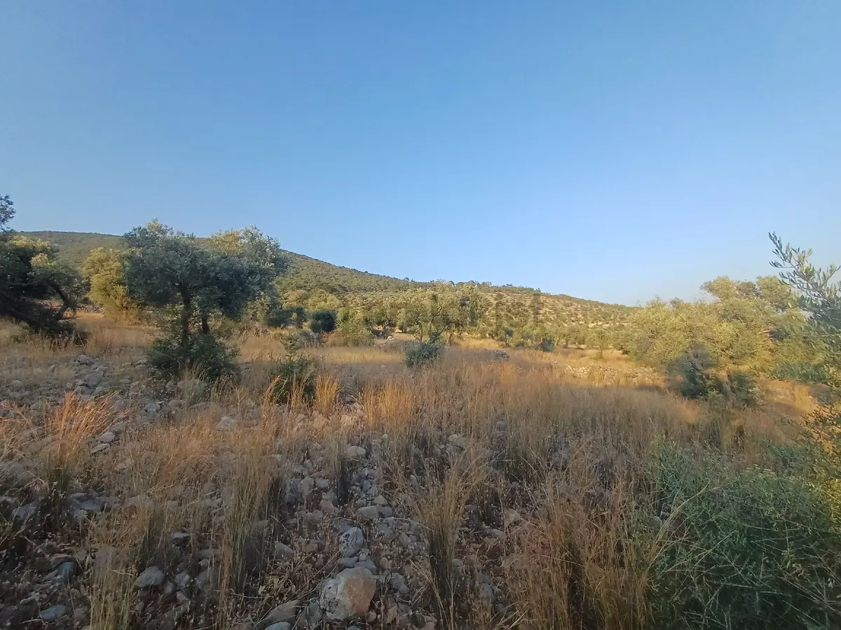 Kazıkli Mahallesi'nde Deniz Manzarali - 19