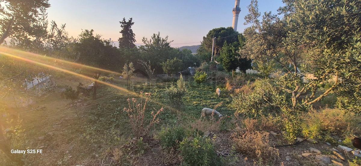 Koy Evi Satilik - 10
