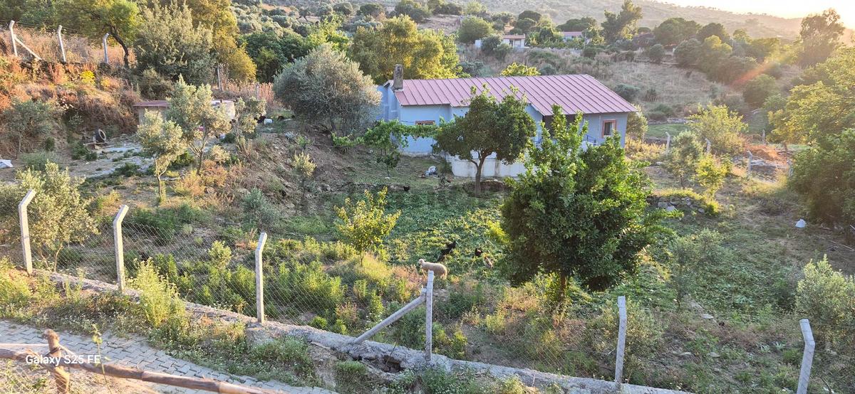 Koy Evi Satilik - 14