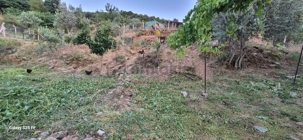 Koy Evi Satilik