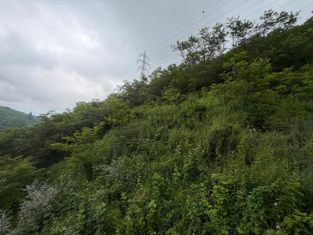 Uğurlu Da Satılık 2,5 Kat İmarlı Arsa - 6