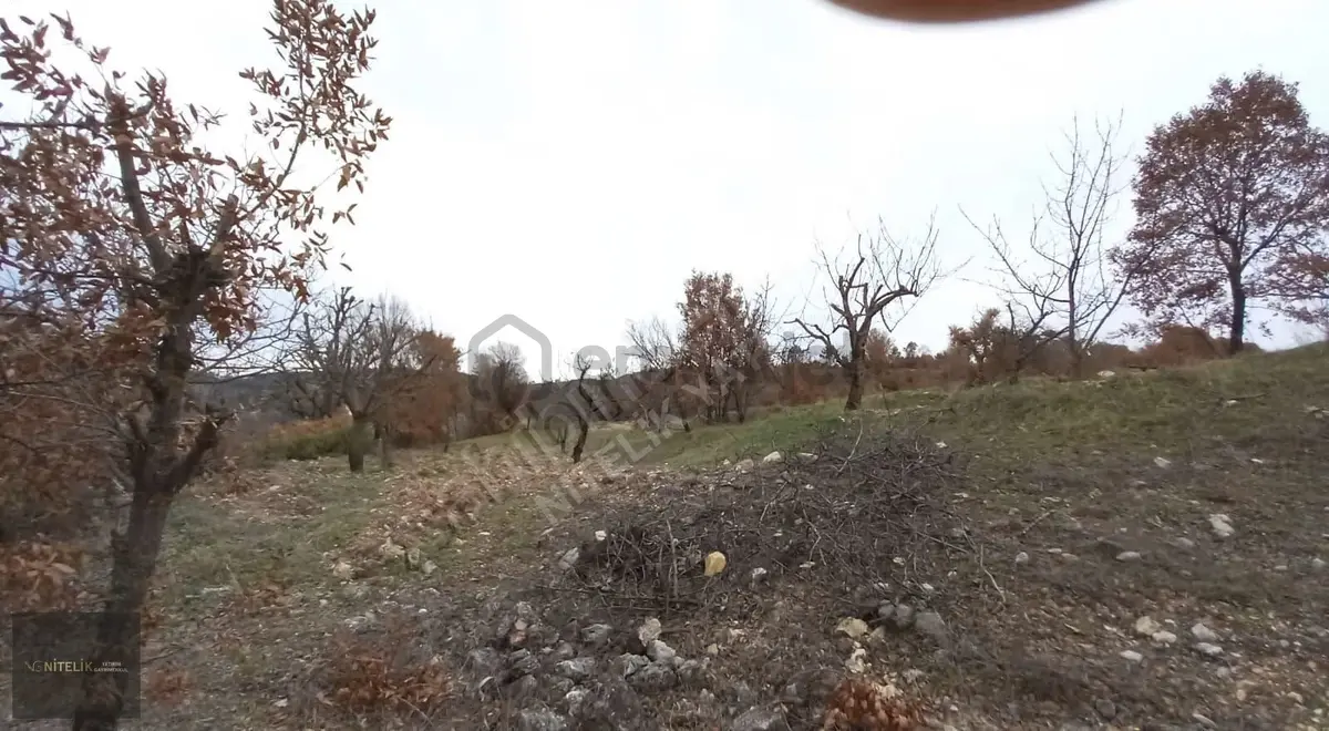 Nitelik'ten Keles Karaardıç Köyünde Satılık Arsa - 2