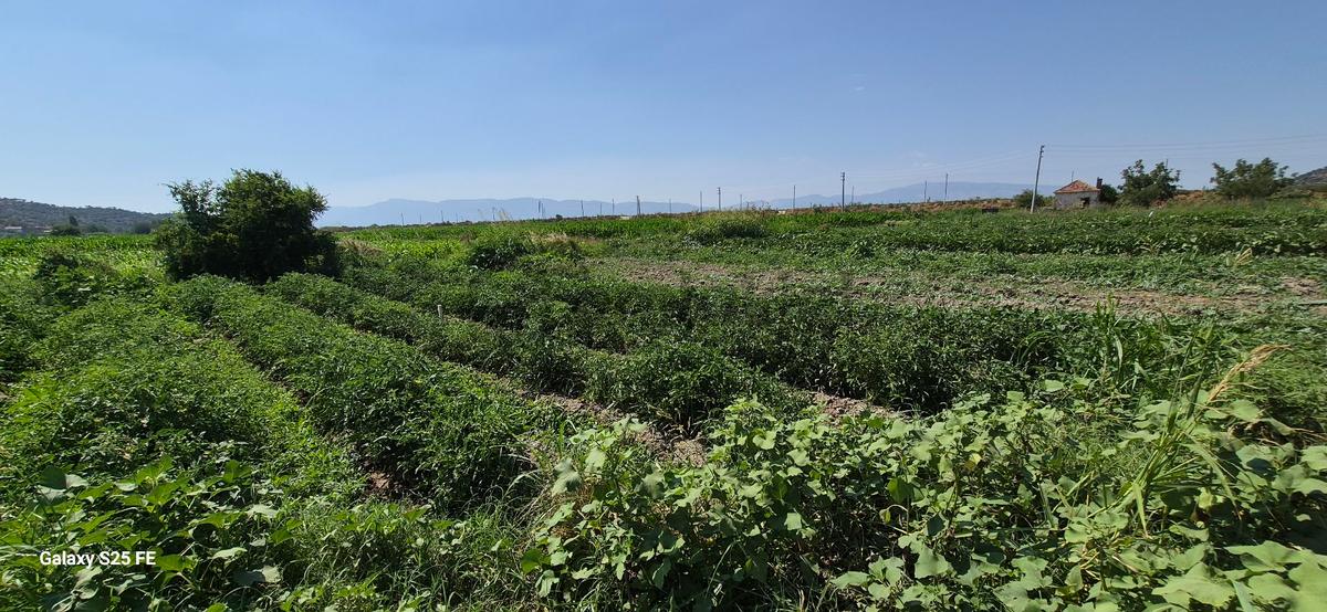 Satılık Arsa Kusadasına 35 Km - 7