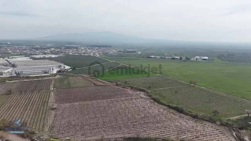 Mütevellide Yatırımlık Aradığınız Tarla - 16