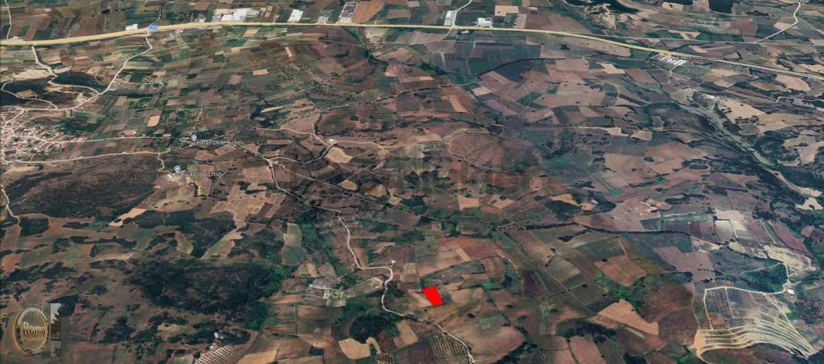 Roma' Dan Şehitlerde Satılık Tarla - 2