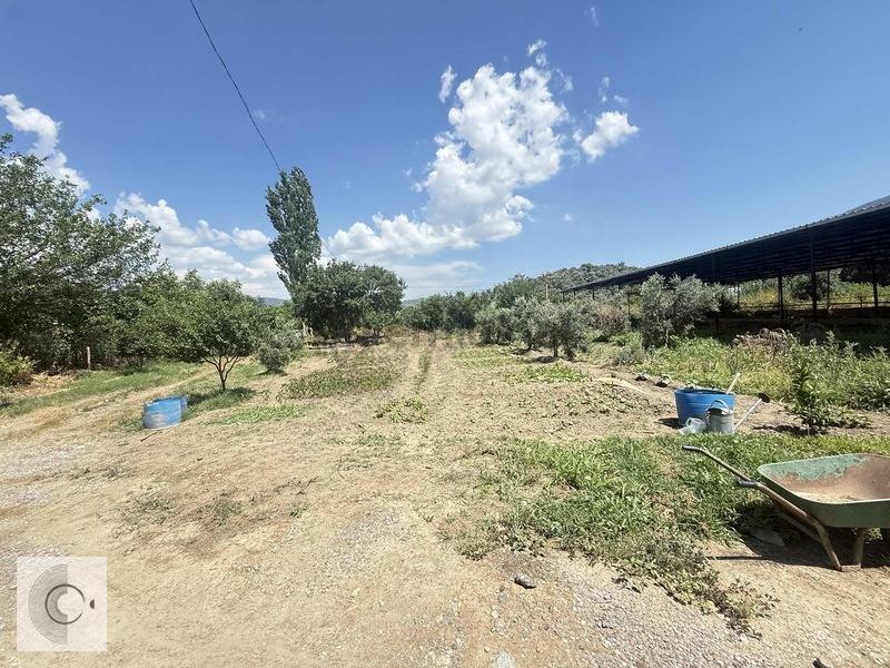Muğla Milas Bafa Tarla(kargir Ev) - 16