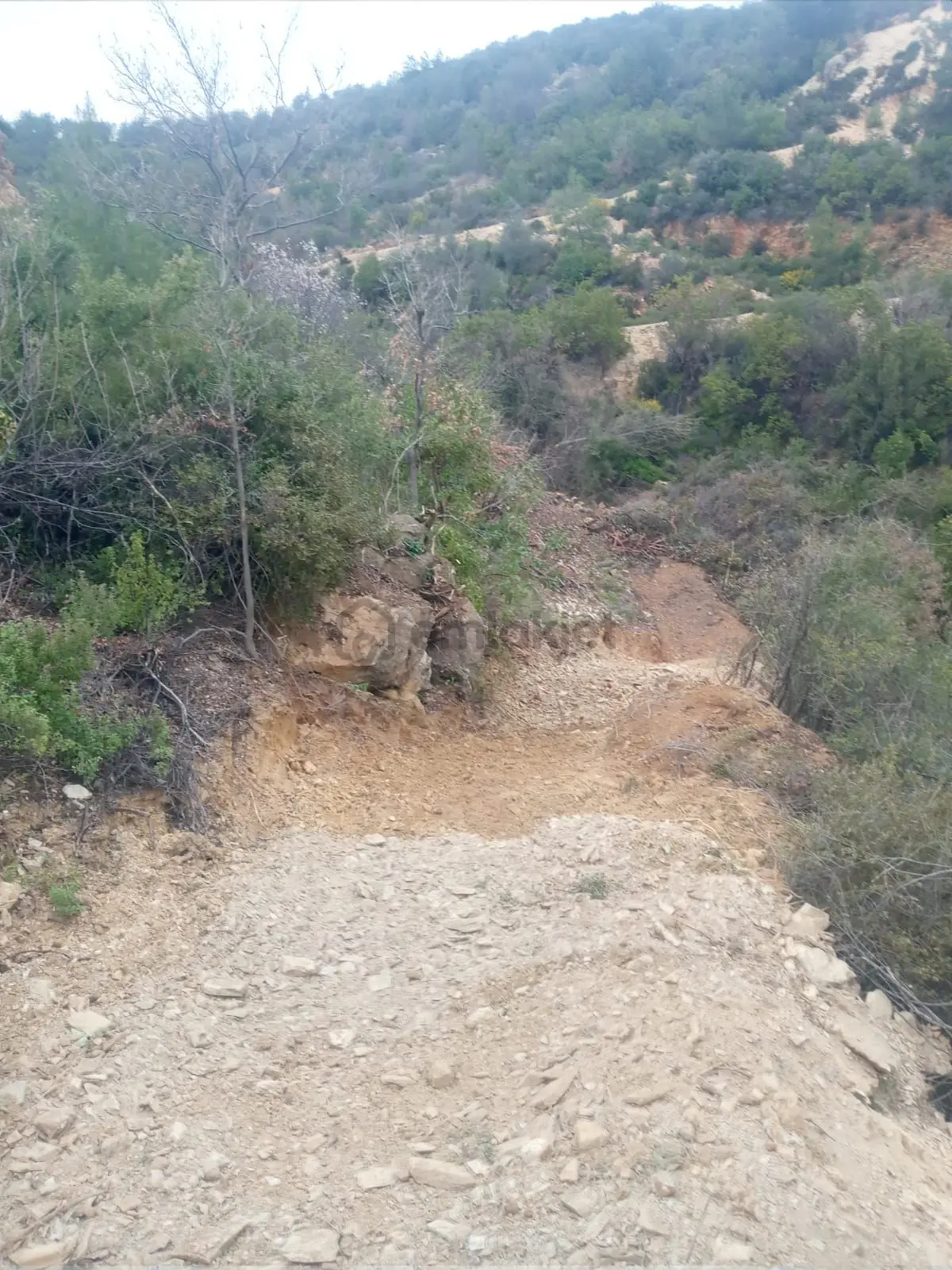 451 M² Yerimiz - 7