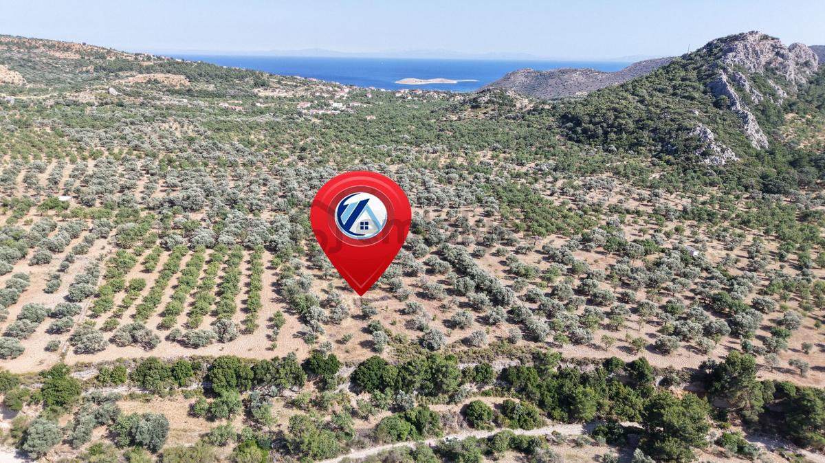 Datça Yaka Kumyerde Satılık 2.090m² Zeytinlik - 7