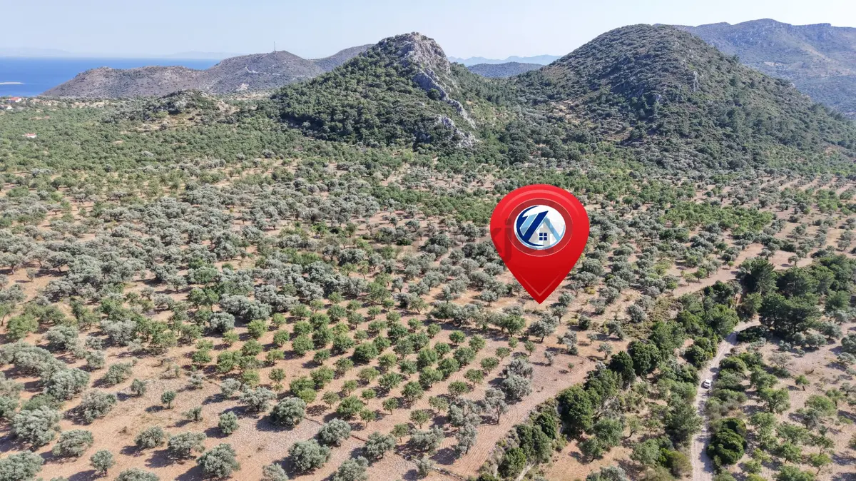 Datça Yaka Kumyerde Satılık 2.090m² Zeytinlik - 11
