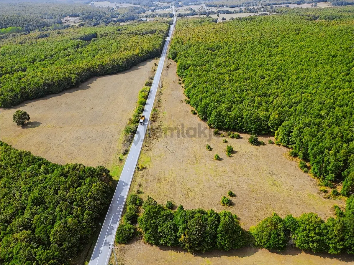 Binkılıç'da 12.899m² Tek Tapu Yola Cephe Satılık - 6