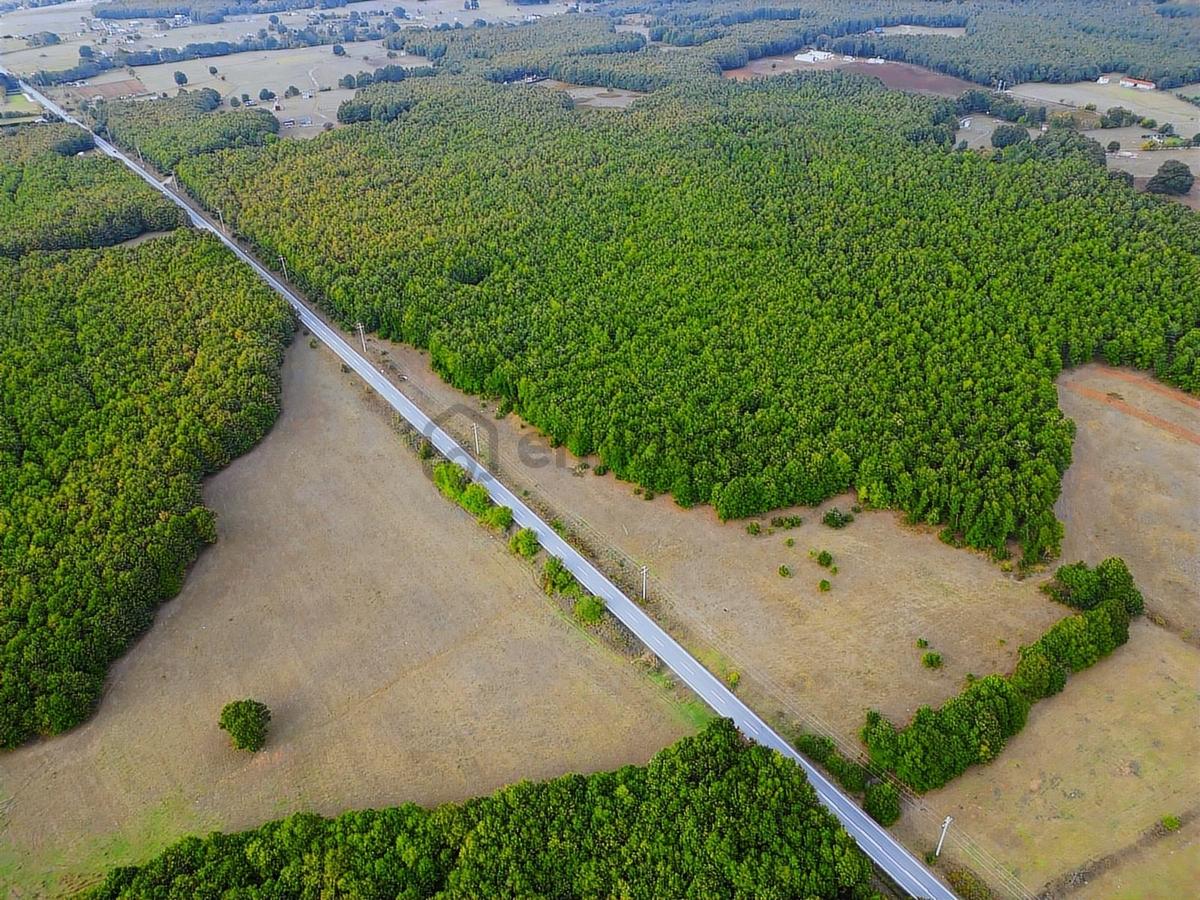 Binkılıç'da 12.899m² Tek Tapu Yola Cephe Satılık - 9