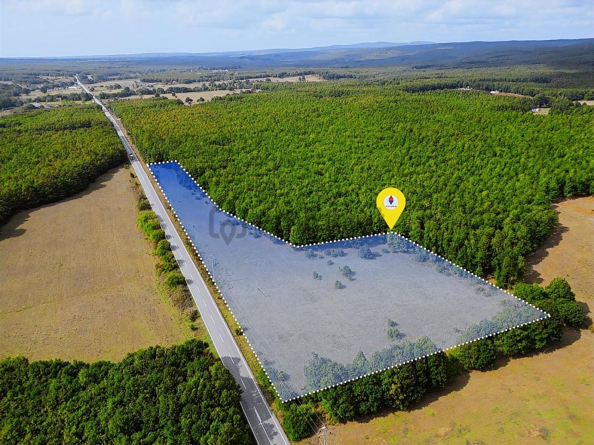 Binkılıç'da 12.899m² Tek Tapu Yola Cephe Satılık