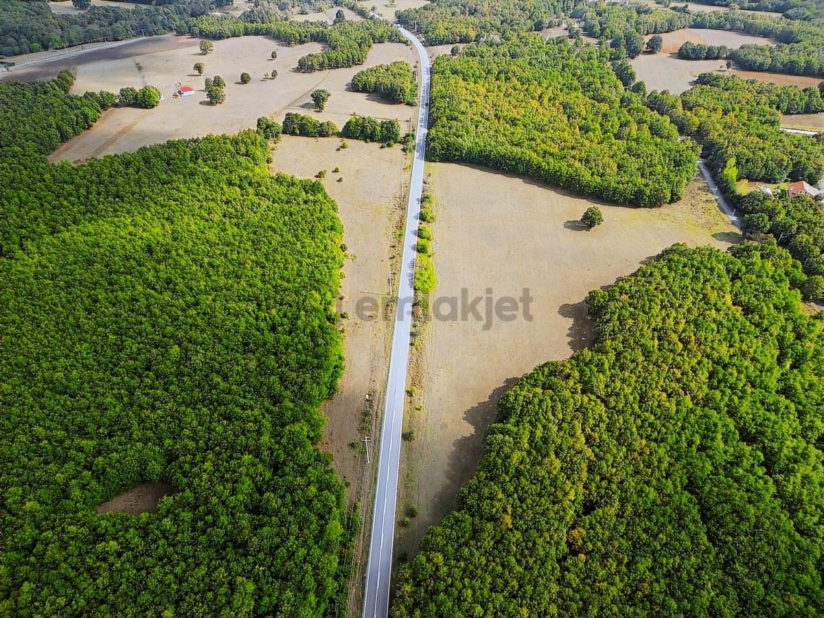 Binkılıç'da 12.899m² Tek Tapu Yola Cephe Satılık - 7