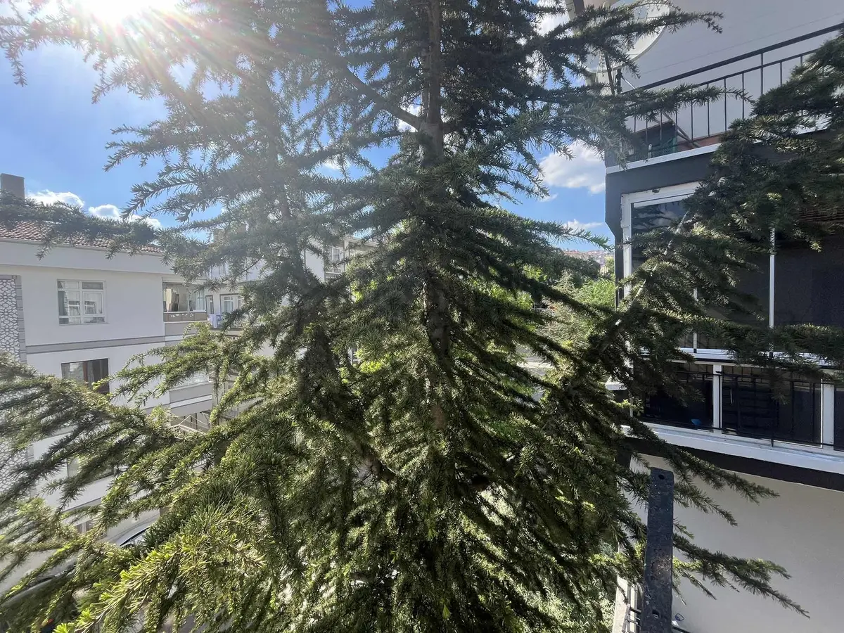 Gata Yakını Kiralık 3+1 En Üst Kat Çift Balkon Daire - 30