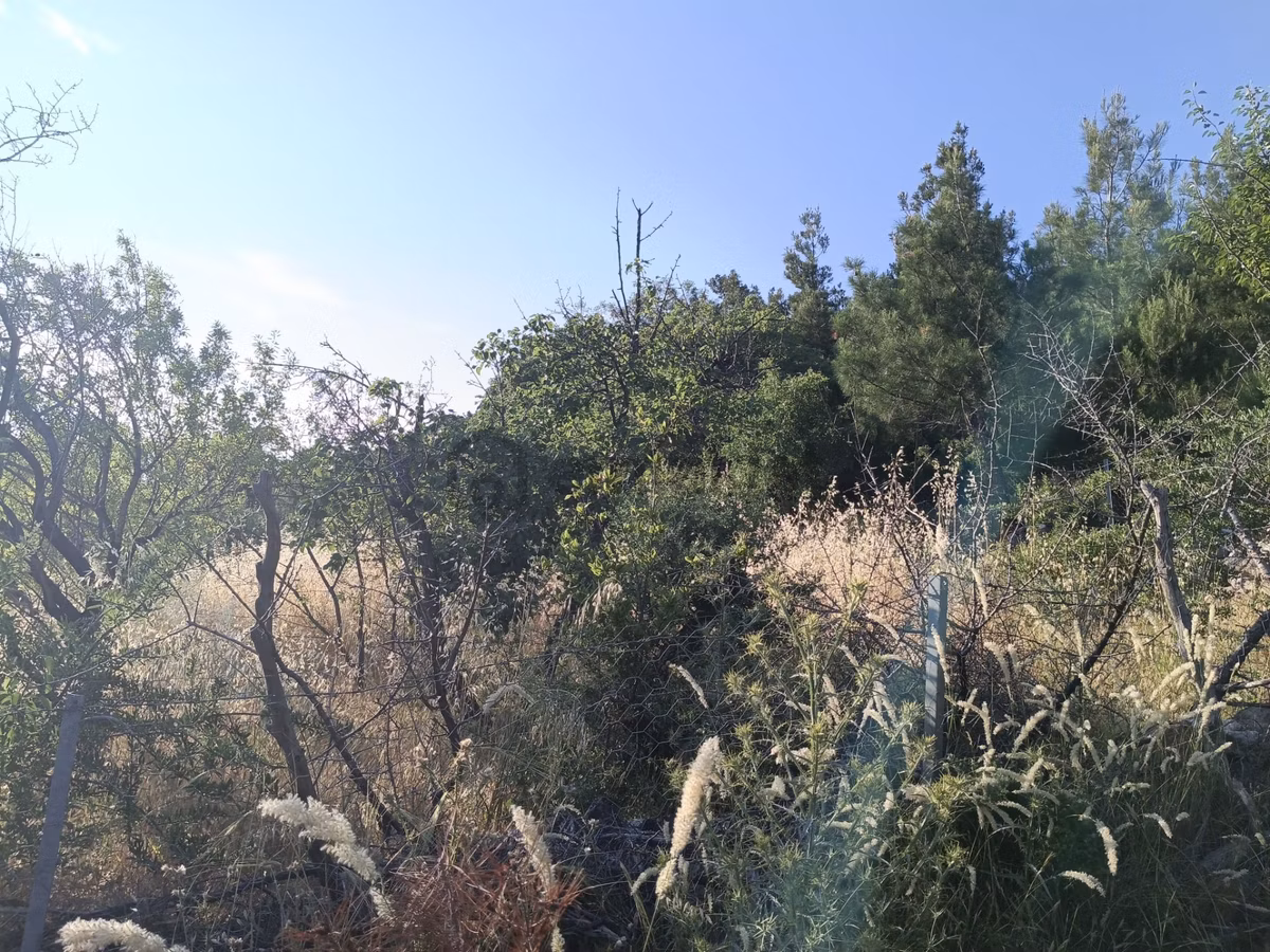 Çamoba Köyünde İmarı Açık 468 M2 Arsa - 10