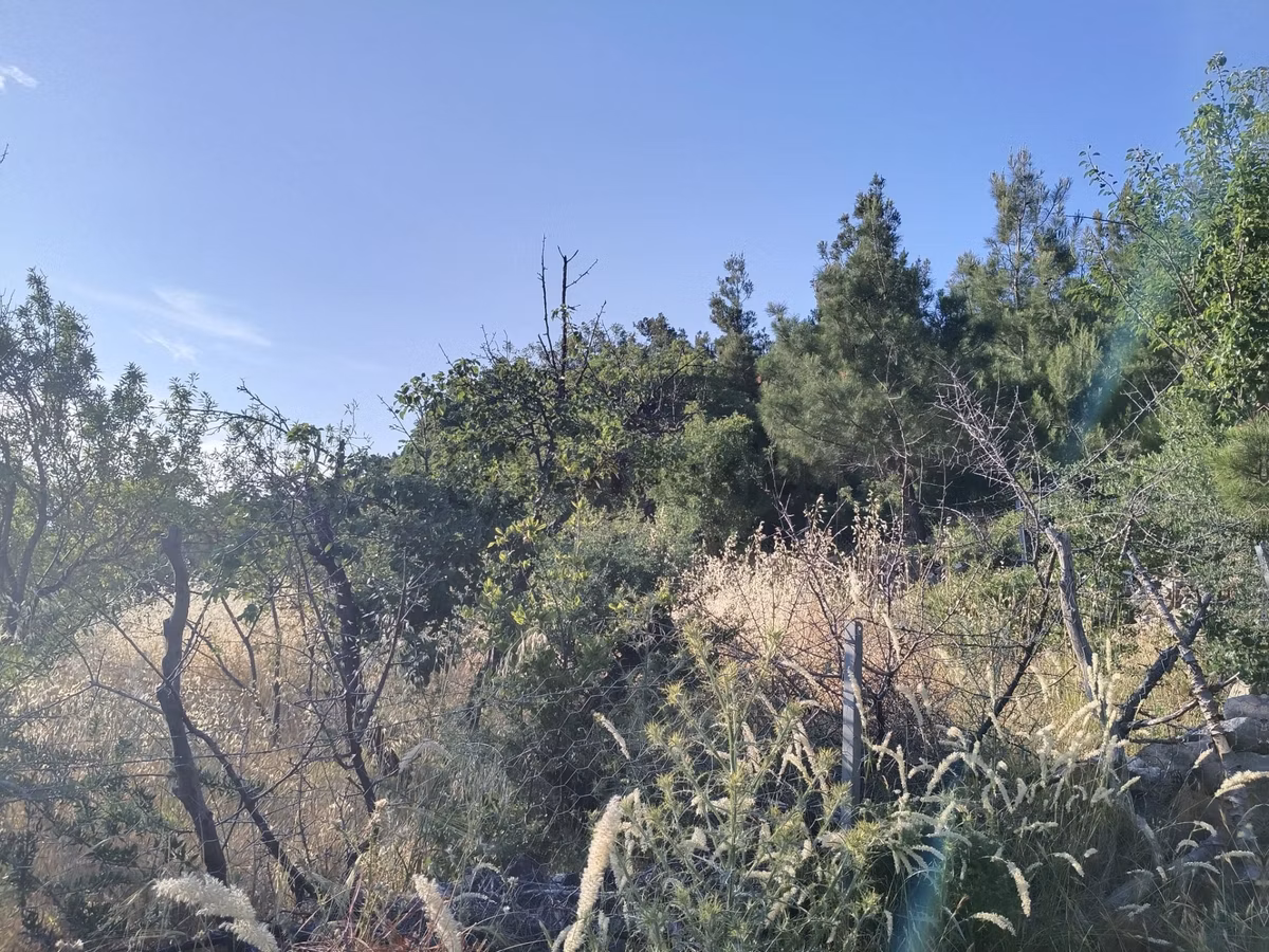 Çamoba Köyünde İmarı Açık 468 M2 Arsa - 13