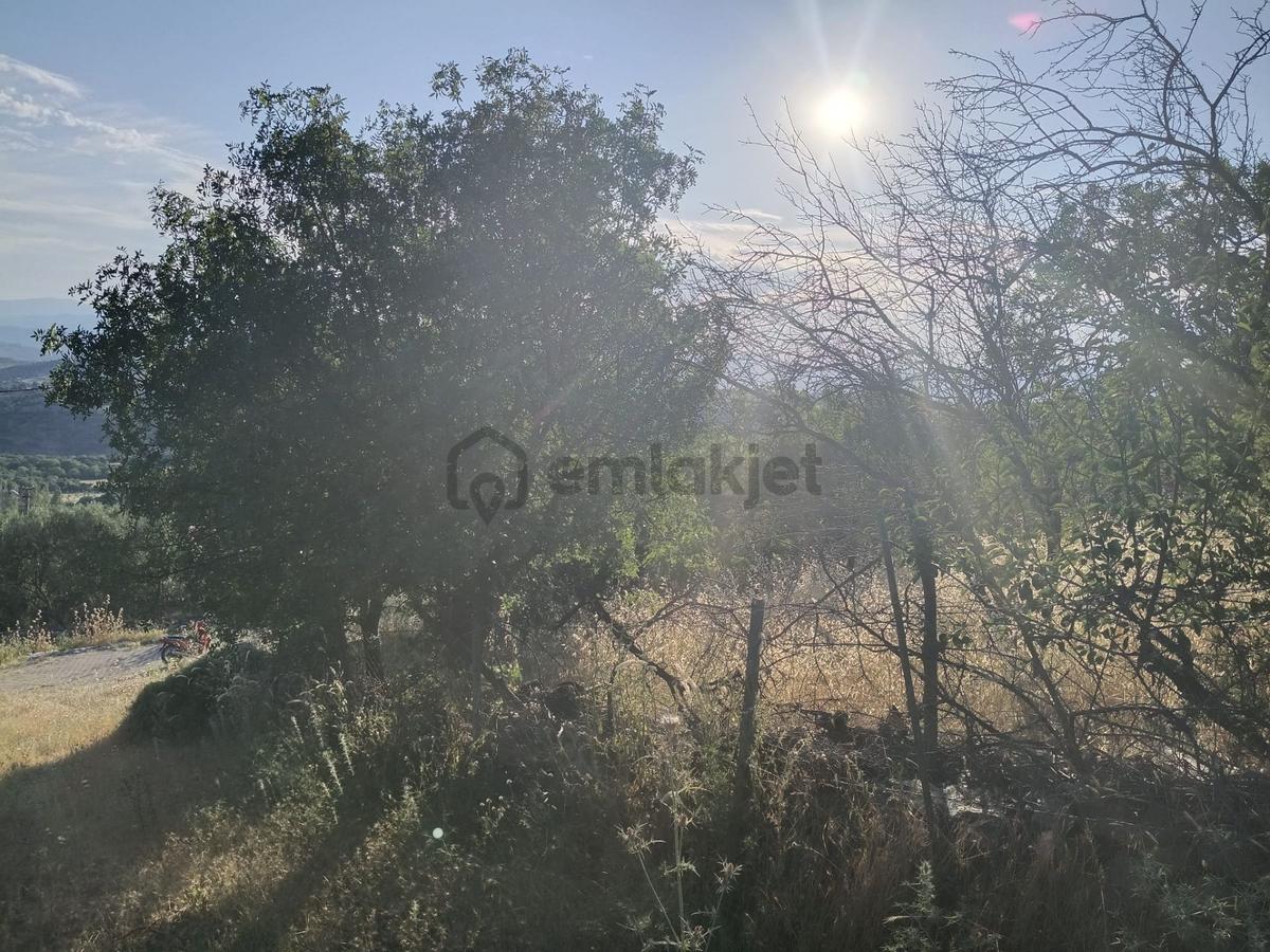 Çamoba Köyünde İmarı Açık 468 M2 Arsa - 21
