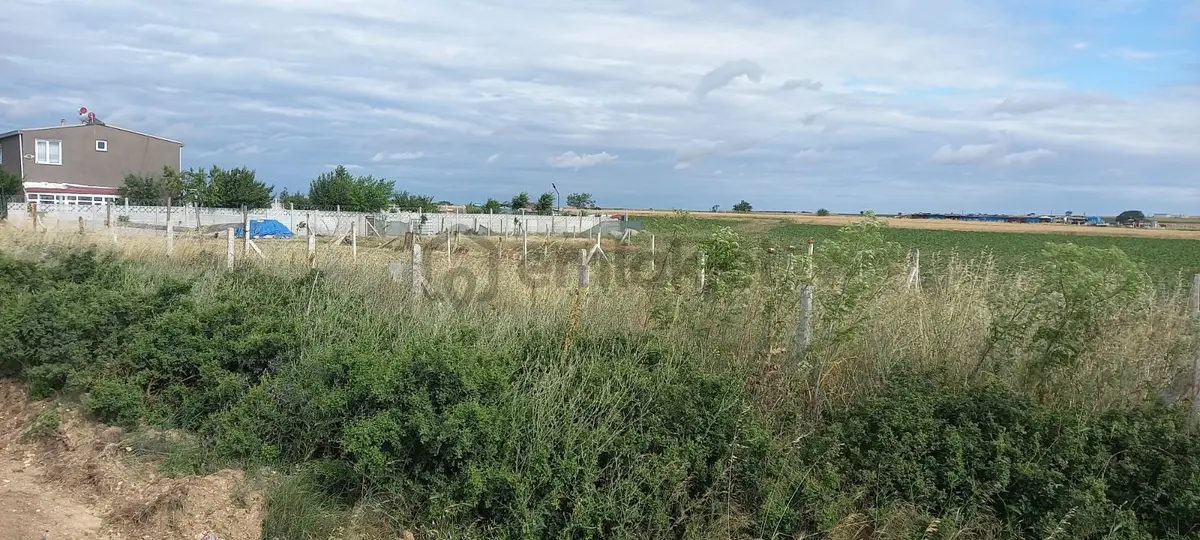 Tekirdağ Saray Yuvalı Tarladan 306 M2 Hisse - 6
