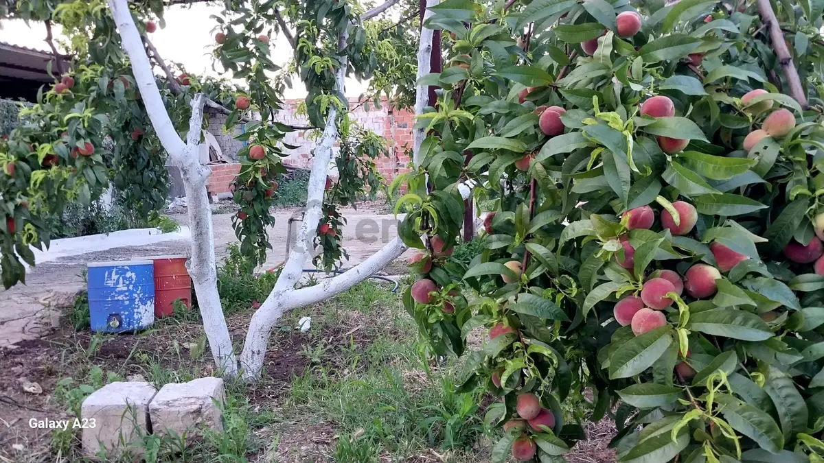 Sahibinden Sahibinden İmarlı 2 Aded Evi Olan Arsa - 10