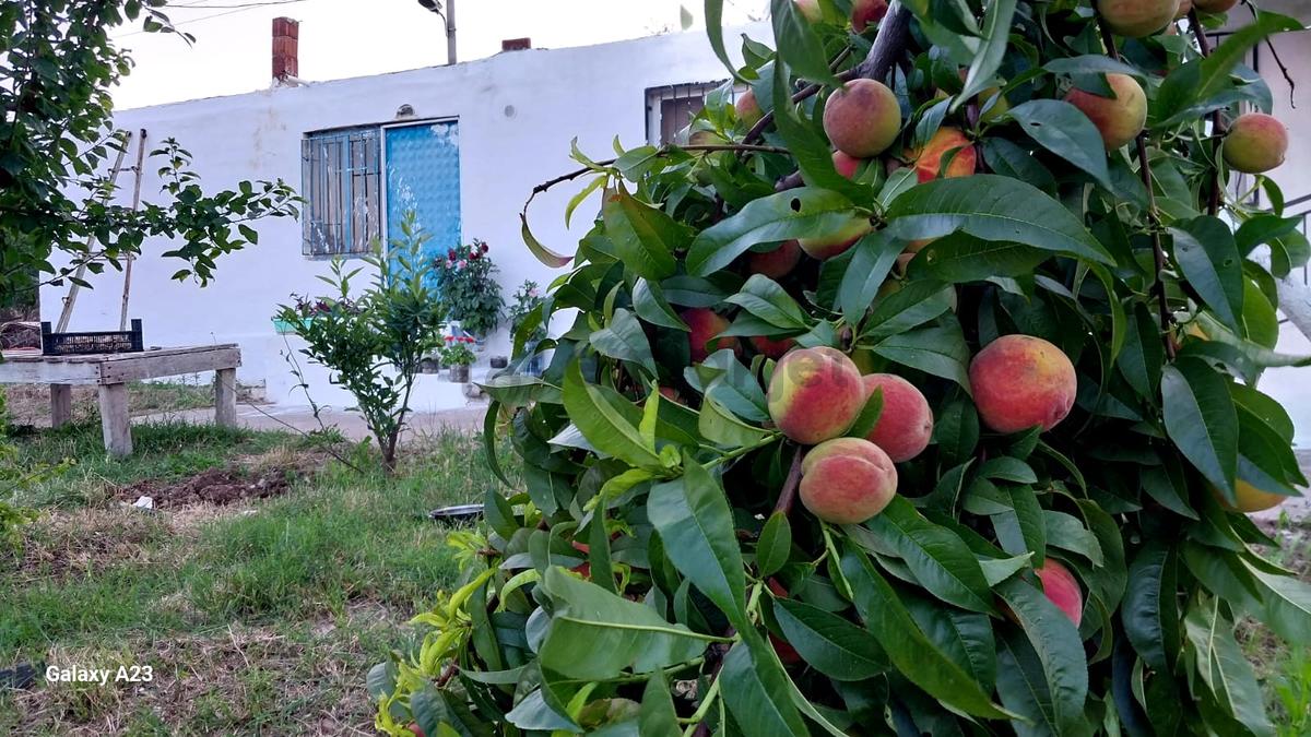 Sahibinden Sahibinden İmarlı 2 Aded Evi Olan Arsa - 11