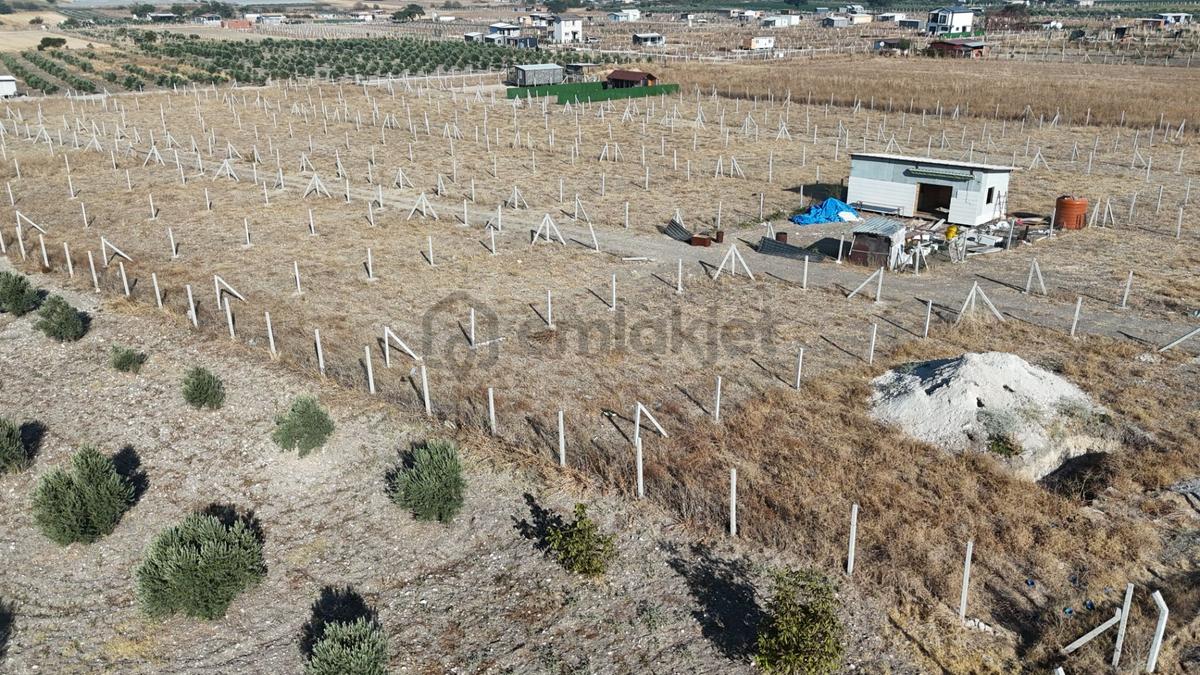 İzmir Menderes Develi Üstünde 300 M2 Noter Satışlı Bahçeler - 32