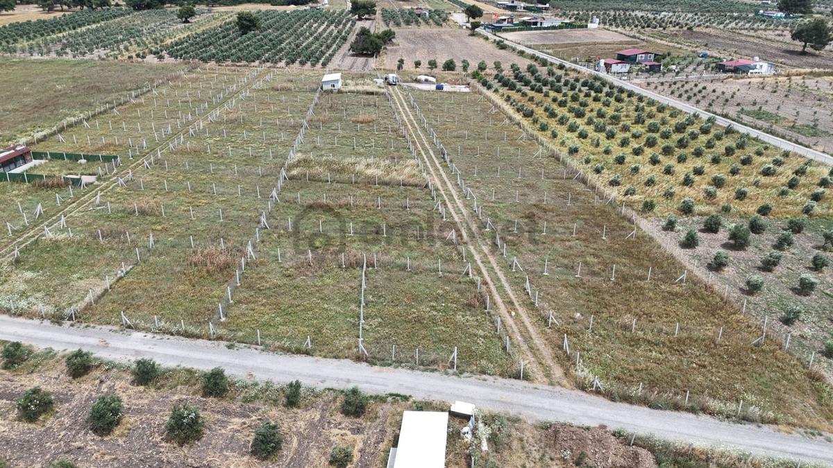 İzmir Menderes Develi Üstünde 300 M2 Noter Satışlı Bahçeler - 10