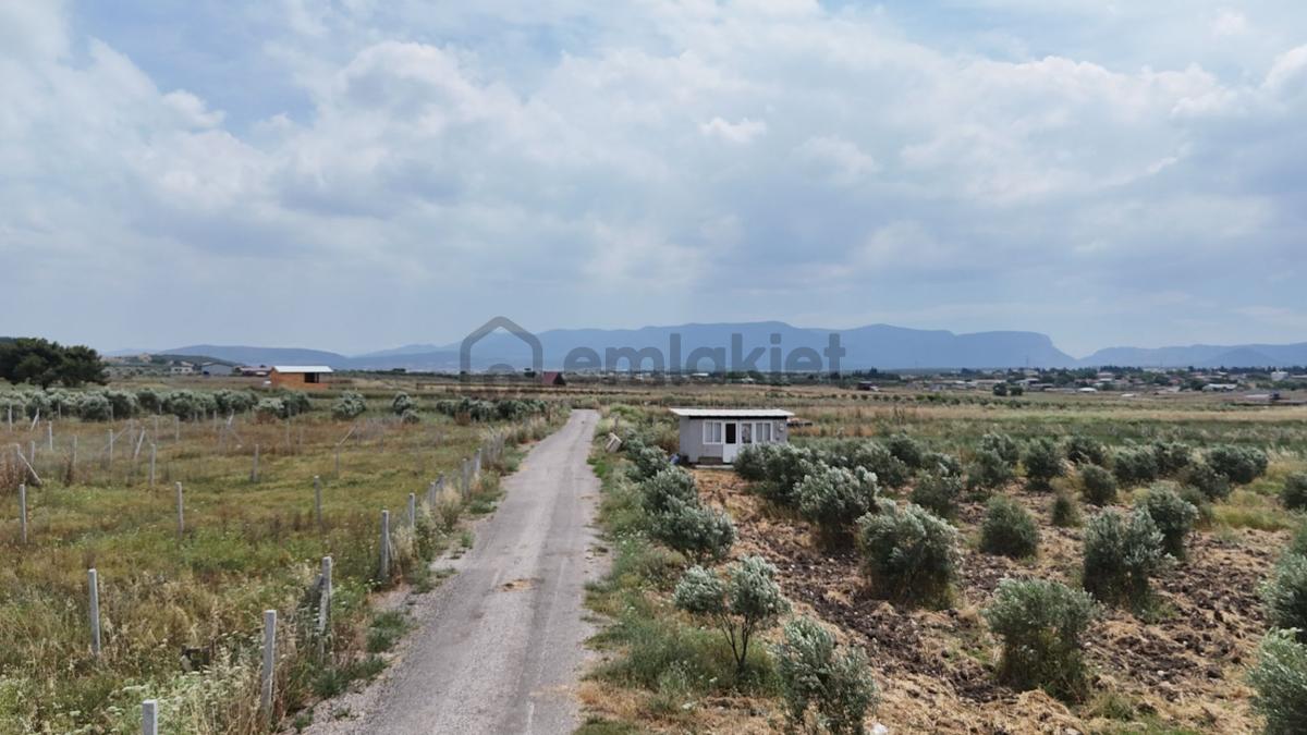 İzmir Menderes Develi Üstünde 300 M2 Noter Satışlı Bahçeler - 18
