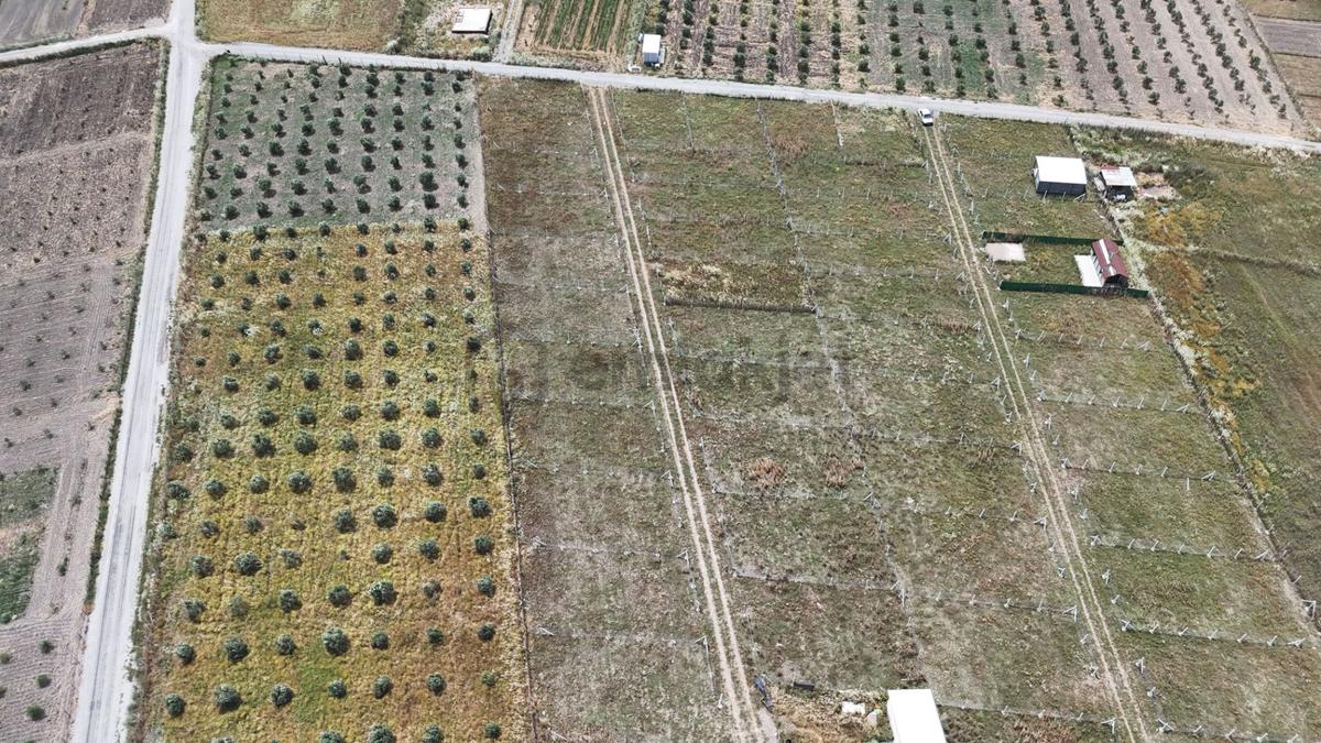 İzmir Menderes Develi Üstünde 300 M2 Noter Satışlı Bahçeler - 6
