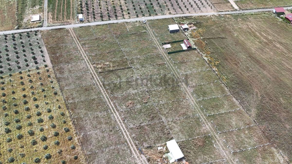 İzmir Menderes Develi Üstünde 300 M2 Noter Satışlı Bahçeler - 8