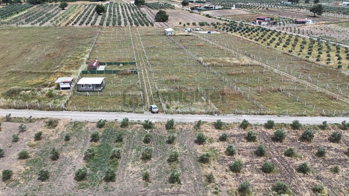 İzmir Menderes Develi Üstünde 300 M2 Noter Satışlı Bahçeler - 4