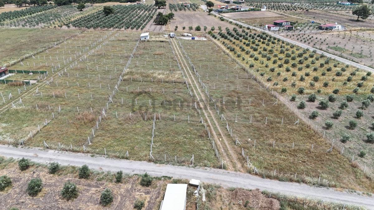 İzmir Menderes Develi Üstünde 300 M2 Noter Satışlı Bahçeler - 26