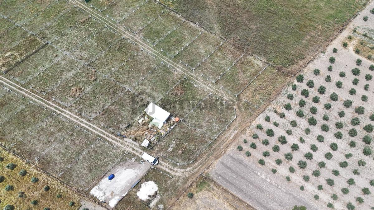 İzmir Menderes Develi Üstünde 300 M2 Noter Satışlı Bahçeler - 16