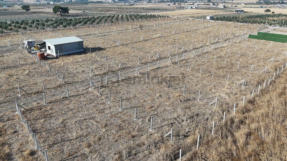 İzmir Menderes Develi Üstünde 300 M2 Noter Satışlı Bahçeler - 31