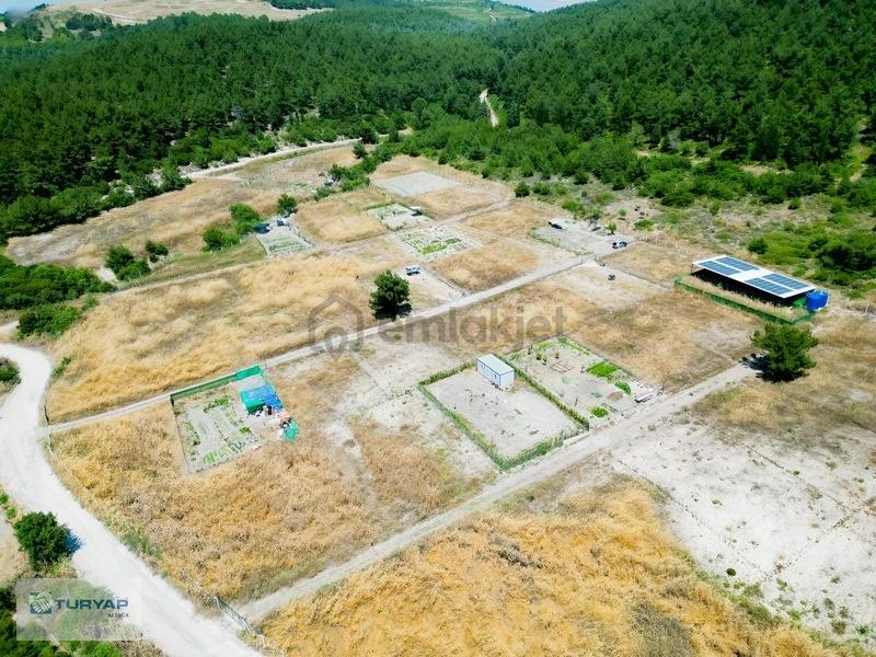 Samurluda Acıl Satılık Tarla - 2