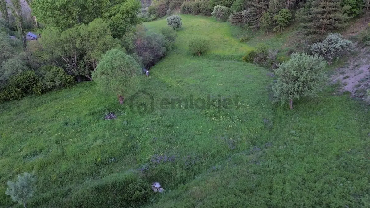 Giresun Alucra Çamlıyayla'da Satılık Tarla - 10